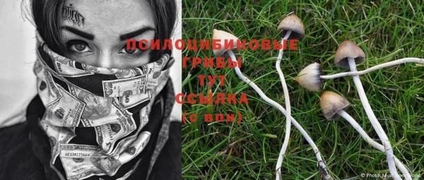 тгк Новодвинск