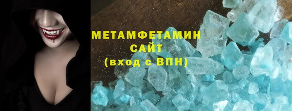 прущие грибы Няндома