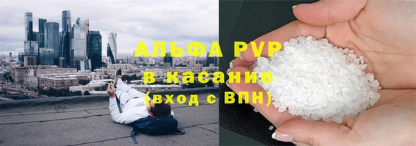 крисы Новокубанск