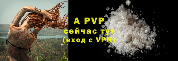прущие грибы Няндома