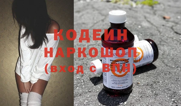 прущие грибы Няндома
