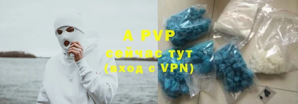 прущие грибы Няндома
