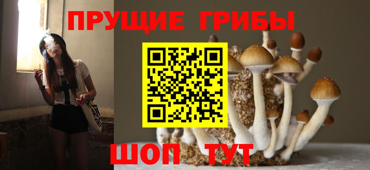 Псилоцибиновые грибы мицелий  Галлюциногенные грибы Psilocybine cubensis  Вход с VPN  Кумертау 